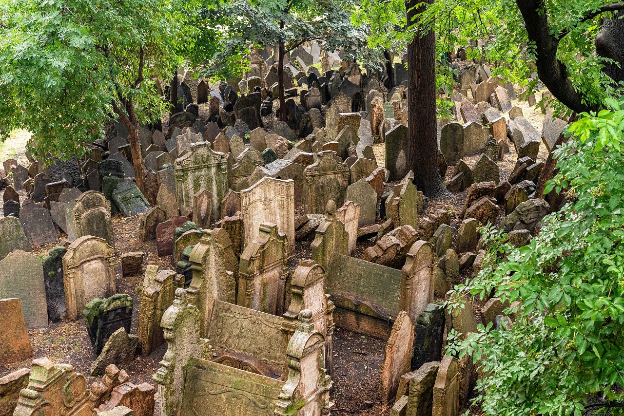 exotische activiteit groepsreis vlindertuin praag