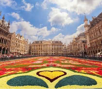 Bewonder met uw groepsreis het schitterende bloemen tapijt in Brussel